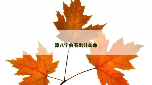算八字会看出什么命