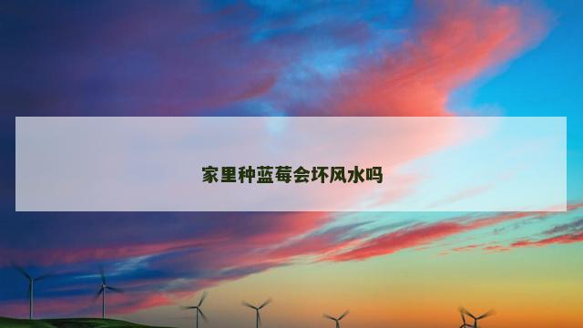 家里种蓝莓会坏风水吗