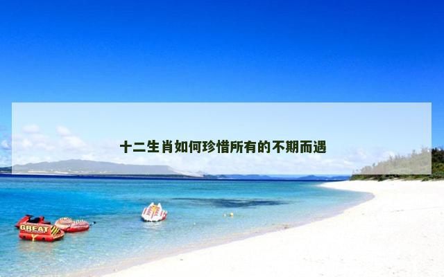 十二生肖如何珍惜所有的不期而遇