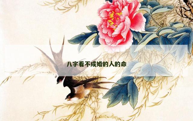八字看不成婚的人的命