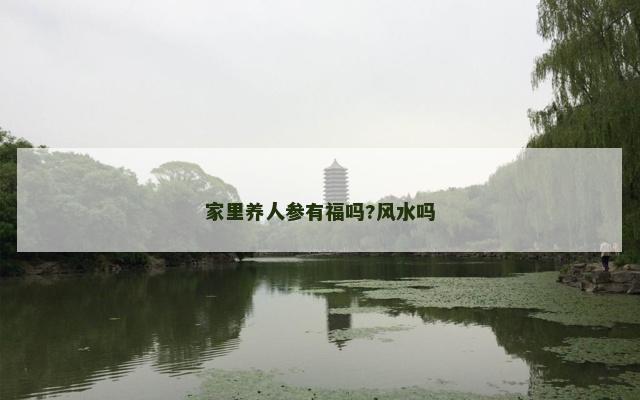 家里养人参有福吗?风水吗