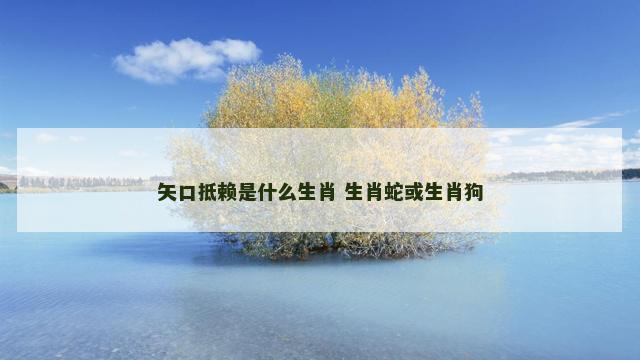 矢口抵赖是什么生肖 生肖蛇或生肖狗