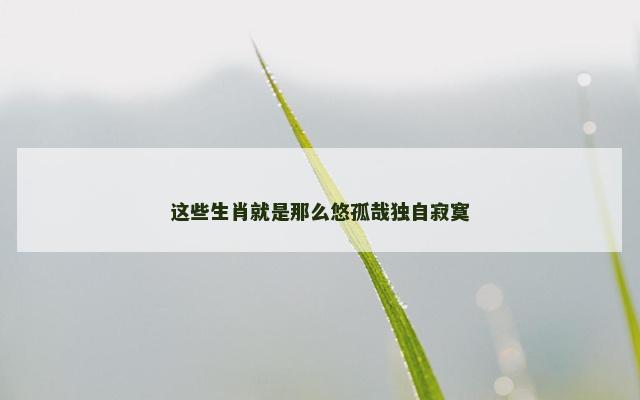 这些生肖就是那么悠孤哉独自寂寞