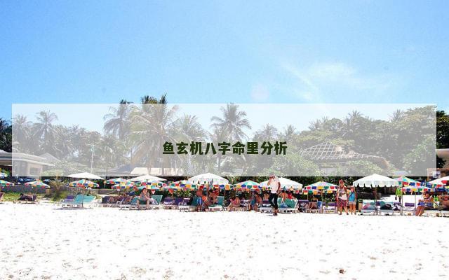 鱼玄机八字命里分析