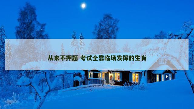 从来不押题 考试全靠临场发挥的生肖
