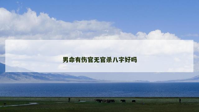 男命有伤官无官杀八字好吗