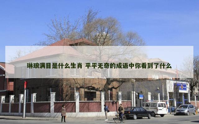 琳琅满目是什么生肖 平平无奇的成语中你看到了什么