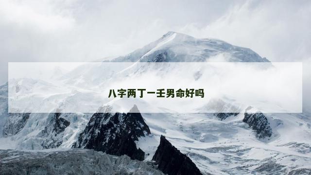 八字两丁一壬男命好吗
