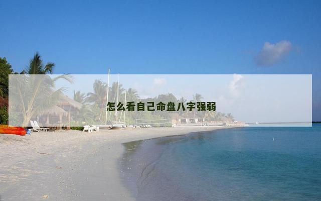 怎么看自己命盘八字强弱