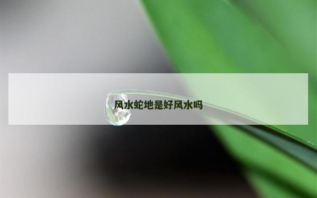 风水蛇地是好风水吗