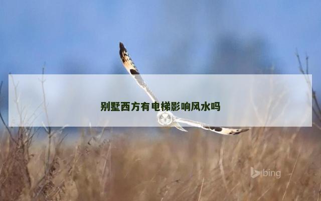 别墅西方有电梯影响风水吗