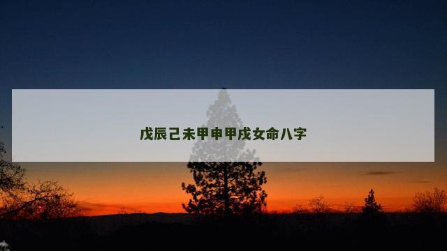 戊辰己未甲申甲戌女命八字