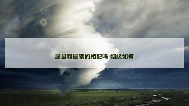 属鼠和属猪的相配吗 姻缘如何