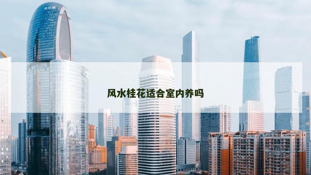 风水桂花适合室内养吗