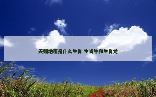 天翻地覆是什么生肖 生肖牛和生肖龙