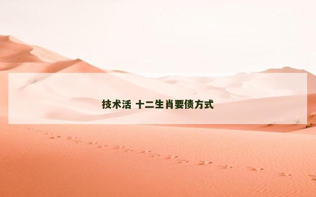 技术活 十二生肖要债方式