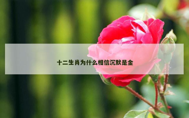 十二生肖为什么相信沉默是金