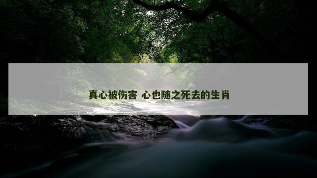 真心被伤害 心也随之死去的生肖