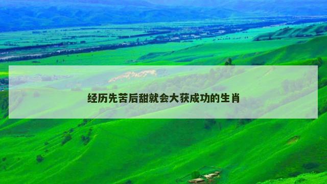 经历先苦后甜就会大获成功的生肖