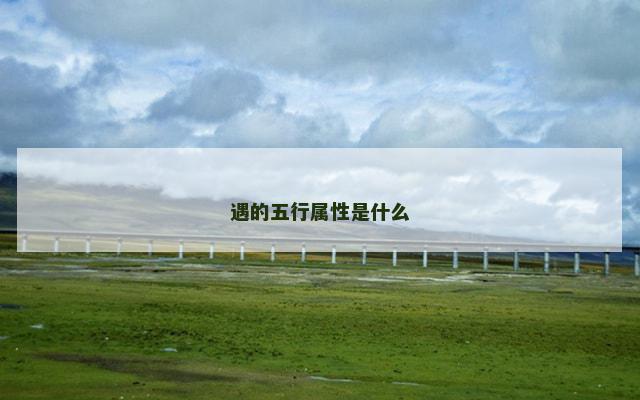 遇的五行属性是什么