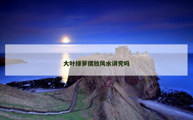大叶绿萝摆放风水讲究吗