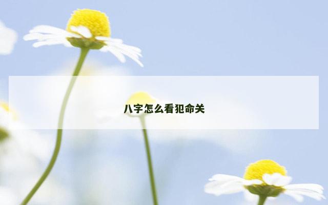 八字怎么看犯命关