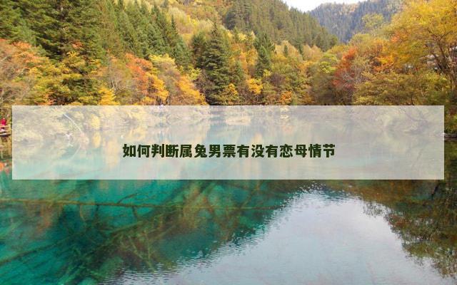 如何判断属兔男票有没有恋母情节