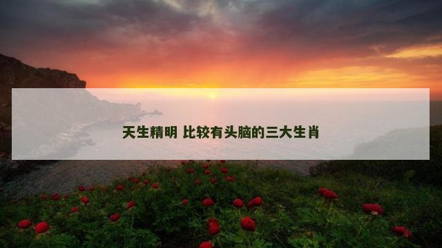 天生精明 比较有头脑的三大生肖