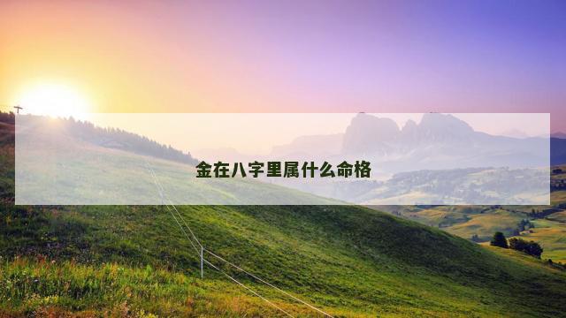 金在八字里属什么命格