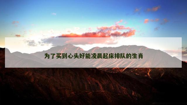 为了买到心头好能凌晨起床排队的生肖