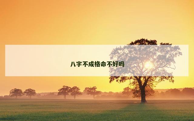 八字不成格命不好吗