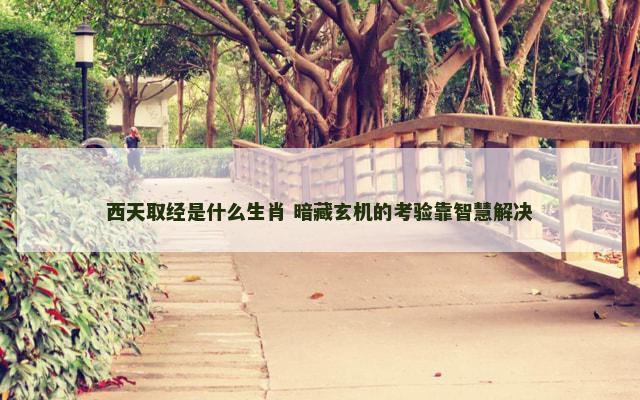 西天取经是什么生肖 暗藏玄机的考验靠智慧解决