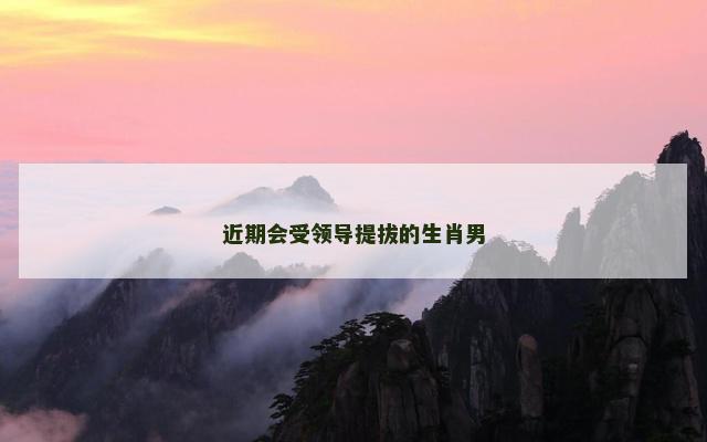 近期会受领导提拔的生肖男