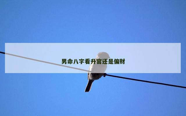 男命八字看升官还是偏财
