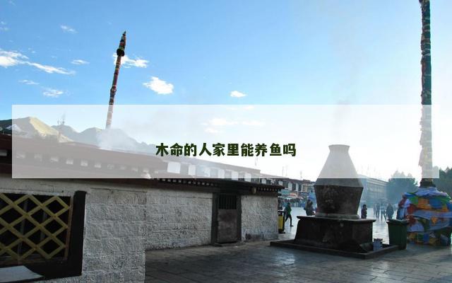 木命的人家里能养鱼吗