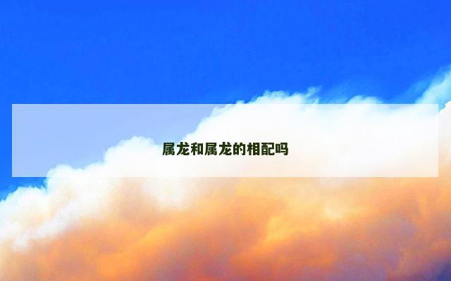 属龙和属龙的相配吗
