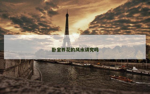 卧室养花的风水讲究吗