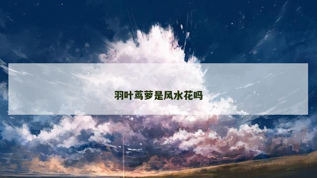羽叶茑萝是风水花吗