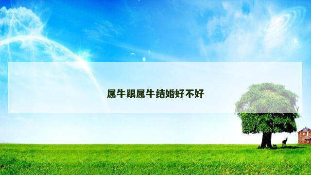 属牛跟属牛结婚好不好