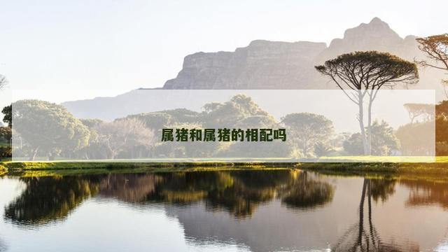 属猪和属猪的相配吗