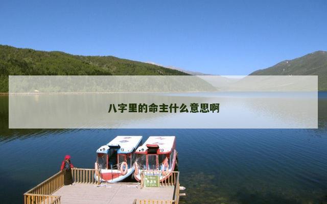八字里的命主什么意思啊
