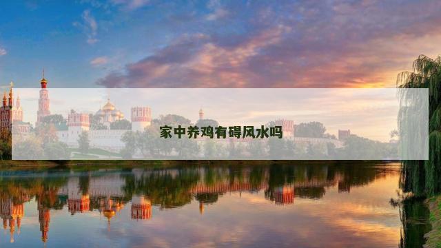 家中养鸡有碍风水吗