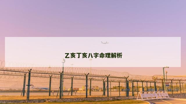 乙亥丁亥八字命理解析