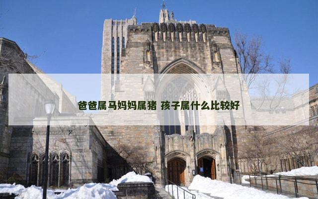 爸爸属马妈妈属猪 孩子属什么比较好