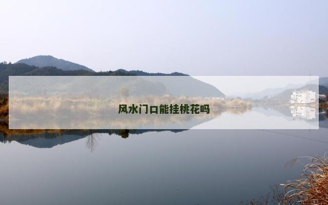风水门口能挂桃花吗