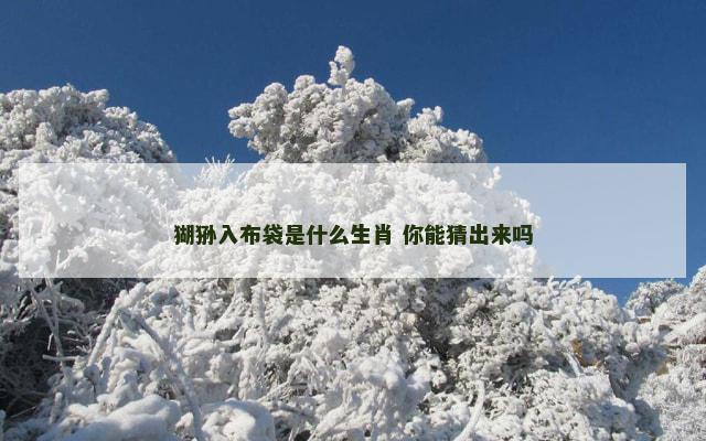 猢狲入布袋是什么生肖 你能猜出来吗