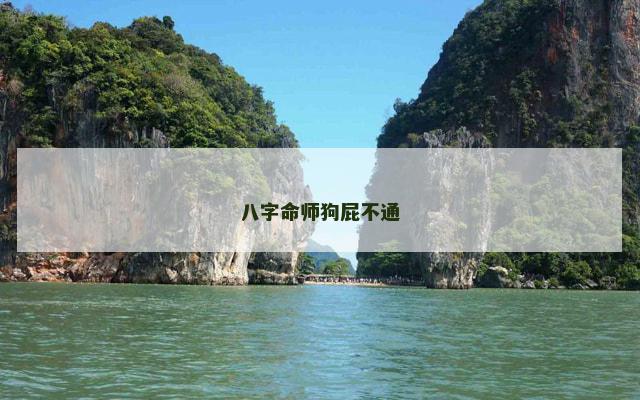 八字命师狗屁不通