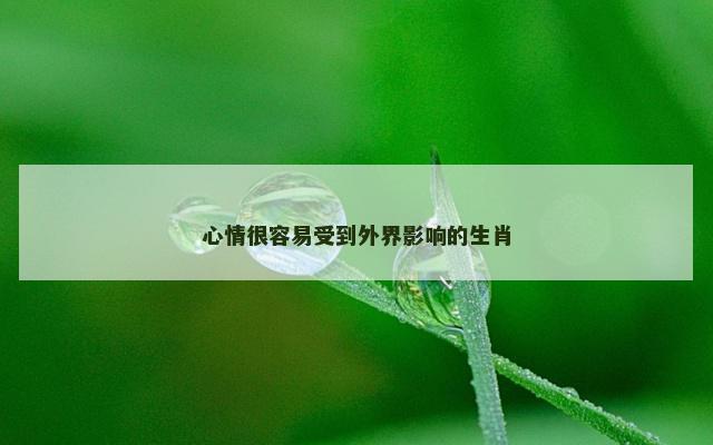 心情很容易受到外界影响的生肖