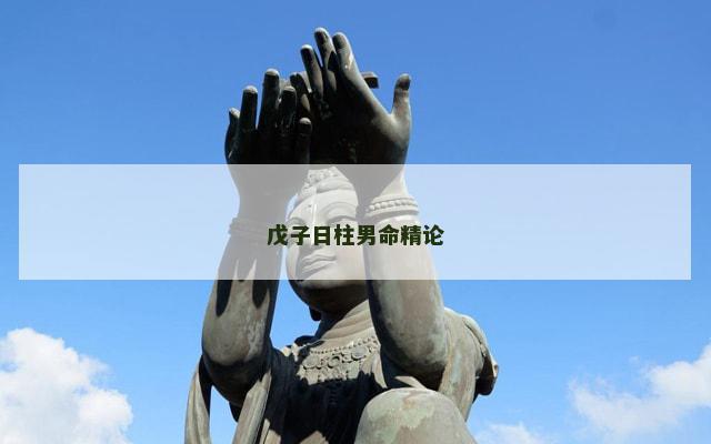 戊子日柱男命精论