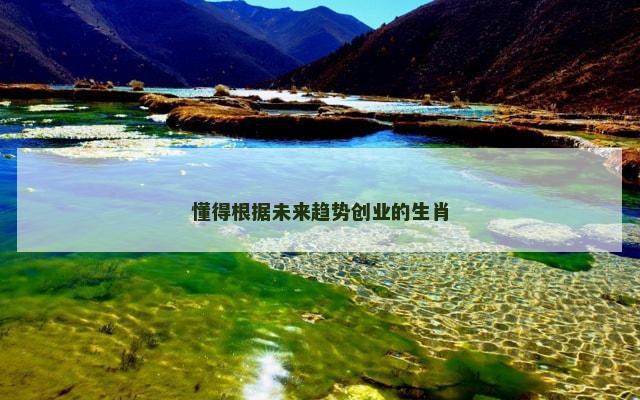 懂得根据未来趋势创业的生肖